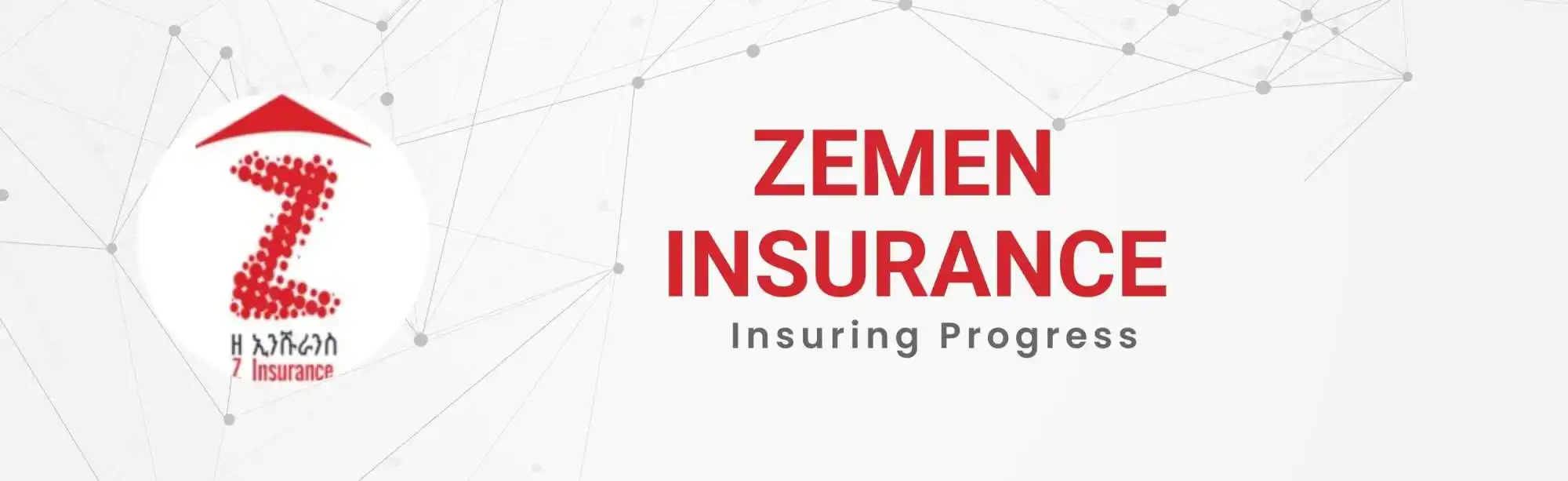 Zemen Insurance S.C. image