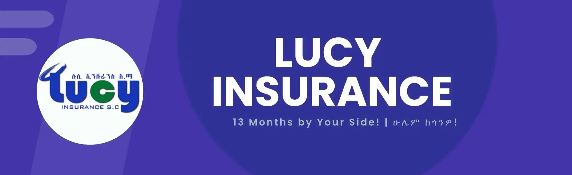 Lucy Insurance S.C. image