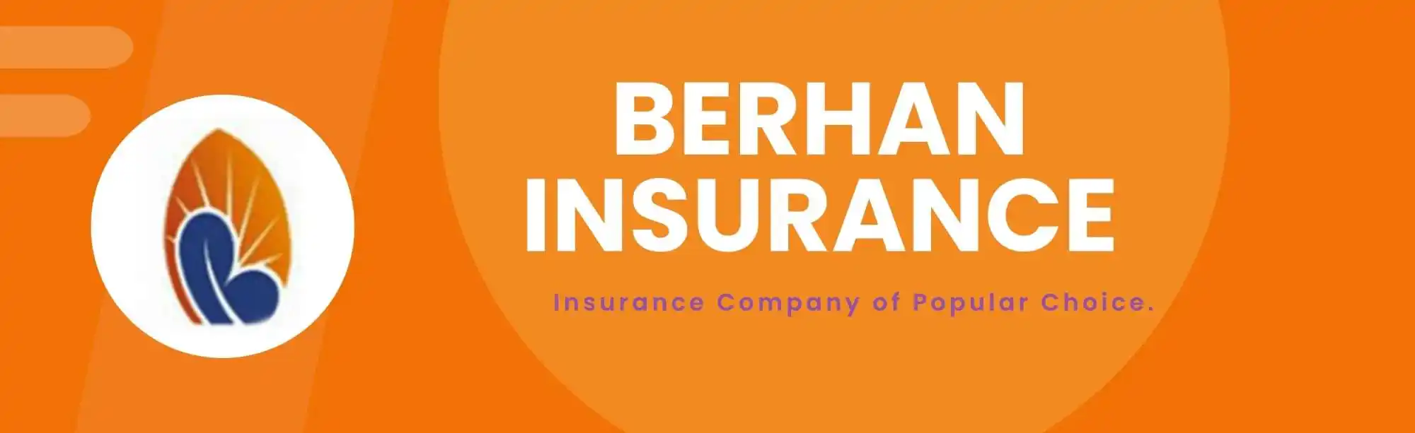 Berhan Insurance S.C. image