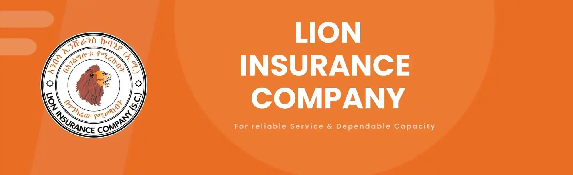 Lion Insurance Company S.C. (LIC) image