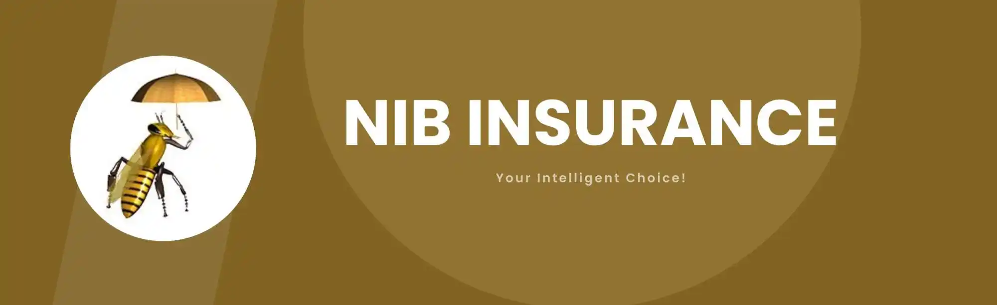 Nib Insurance Company S.C. image