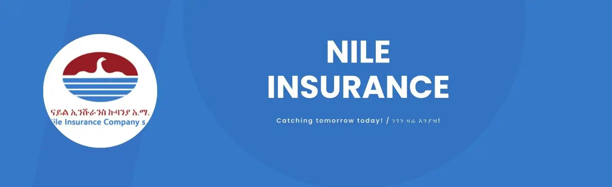Nile Insurance Company S.C. image