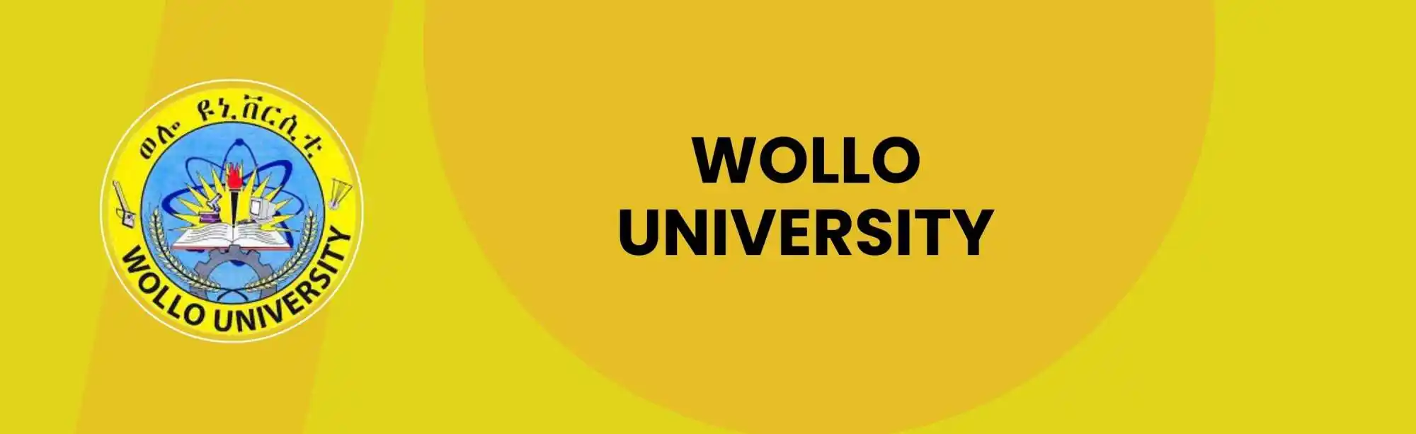 Wollo University image