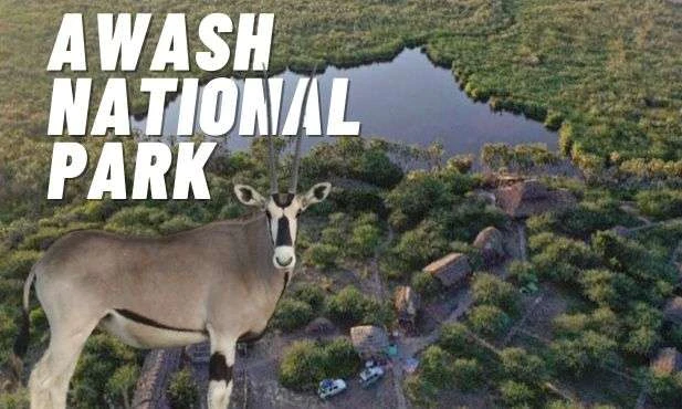 Awash National Park
