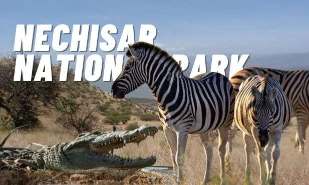 Nechisar National Park