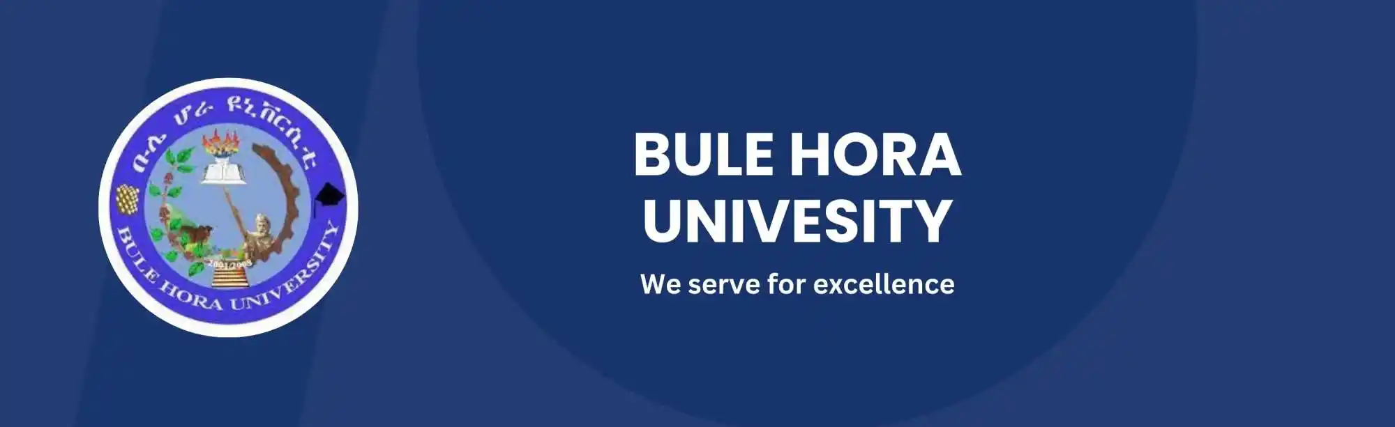 Bule Hora University image