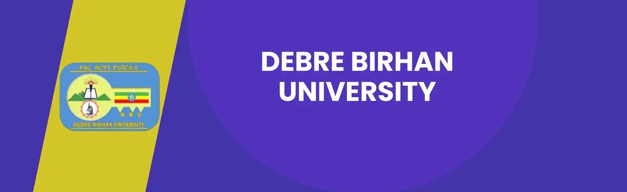 Debre Berhan University image
