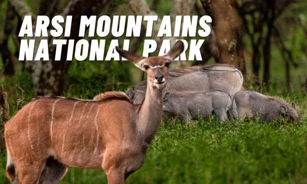 Arsi Mountains National Park