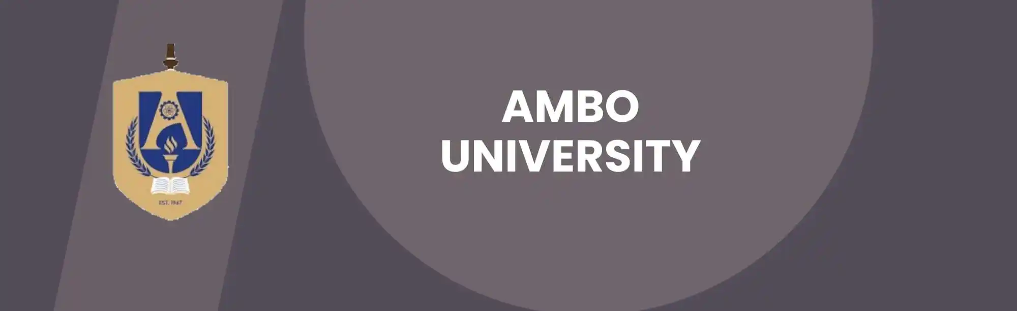 Ambo University image