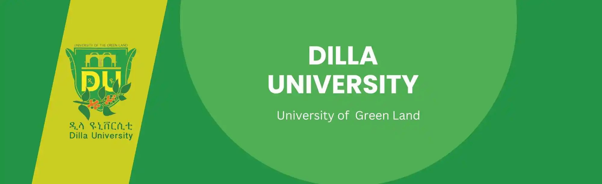 Dilla University image