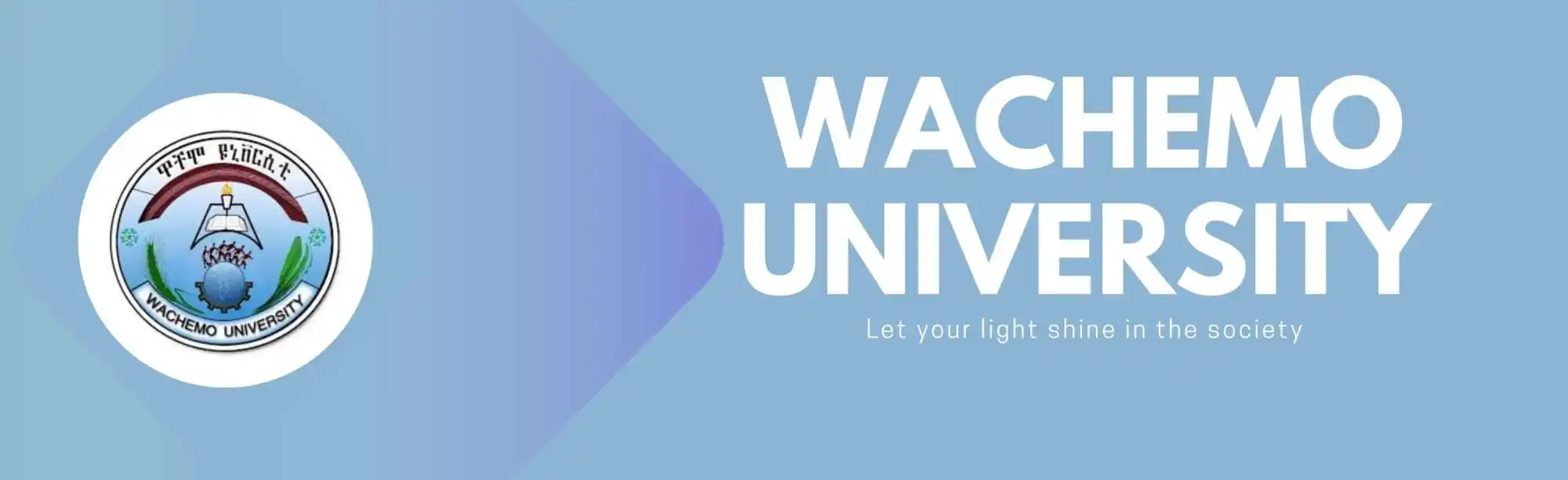 Wachemo University image