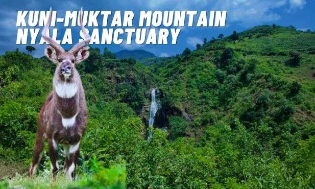 Kuni Muktar Mountain Nyala Sanctuary