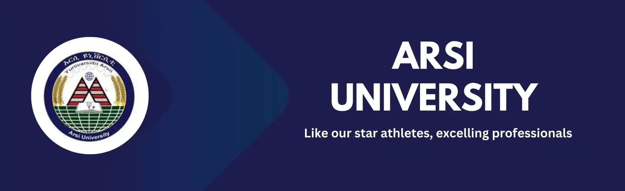 Arsi University image