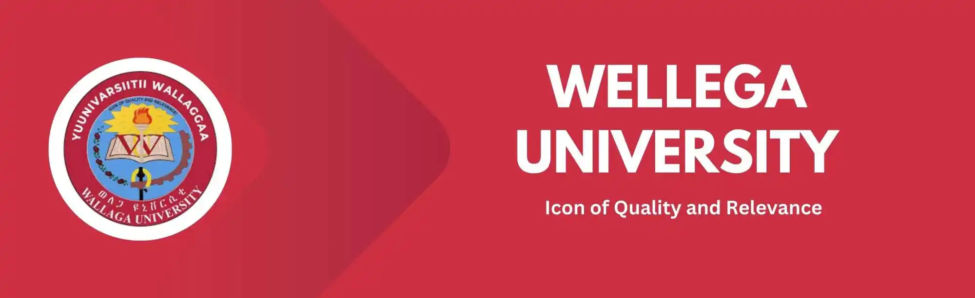 Wollega University image