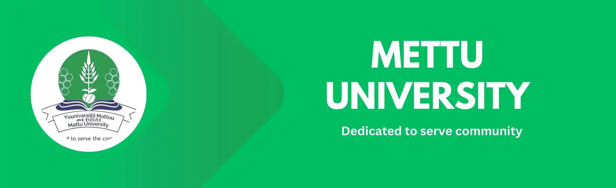 Mettu University image