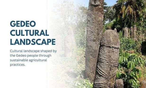 Gedeo Cultural Landscape