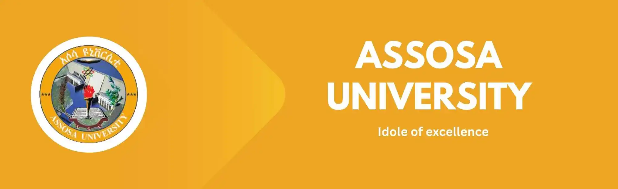 Assosa University image