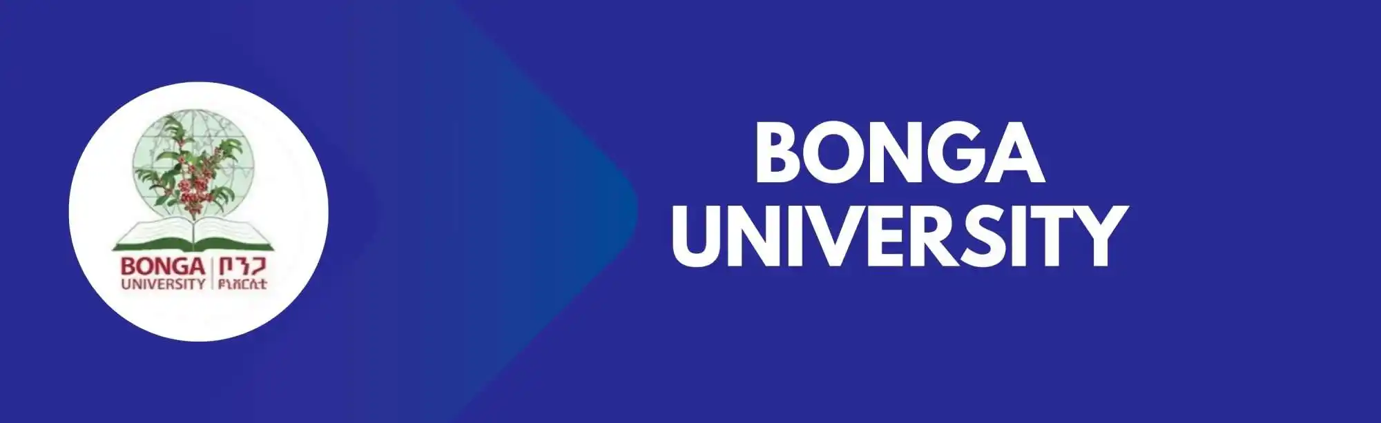 Bonga University image