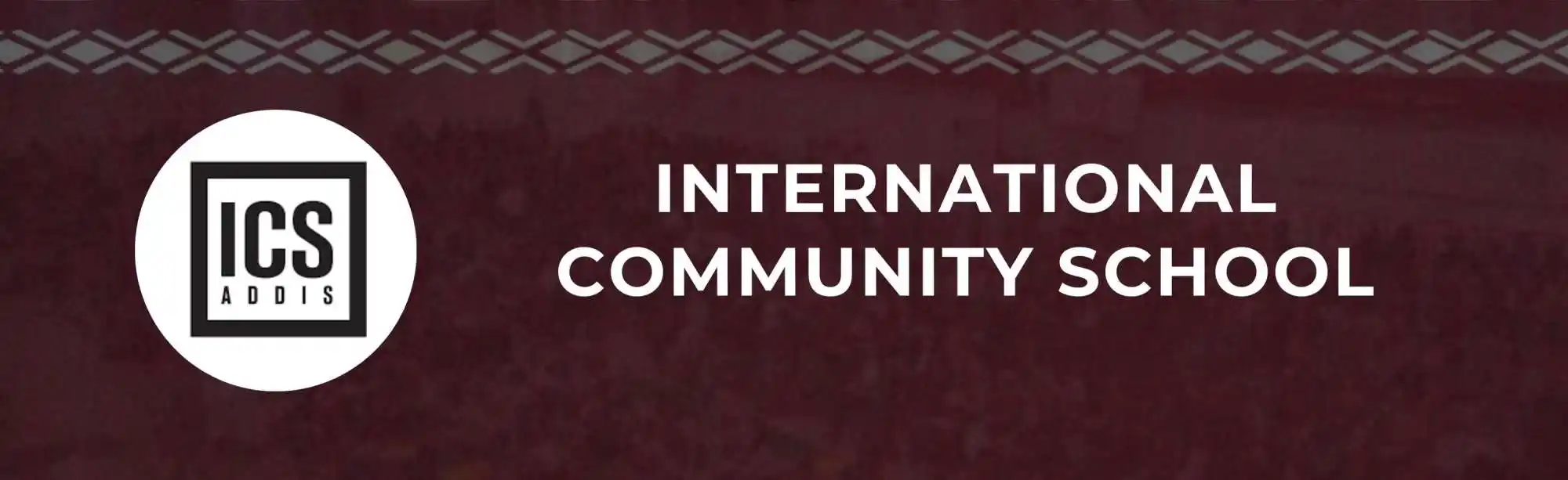 International Community School image