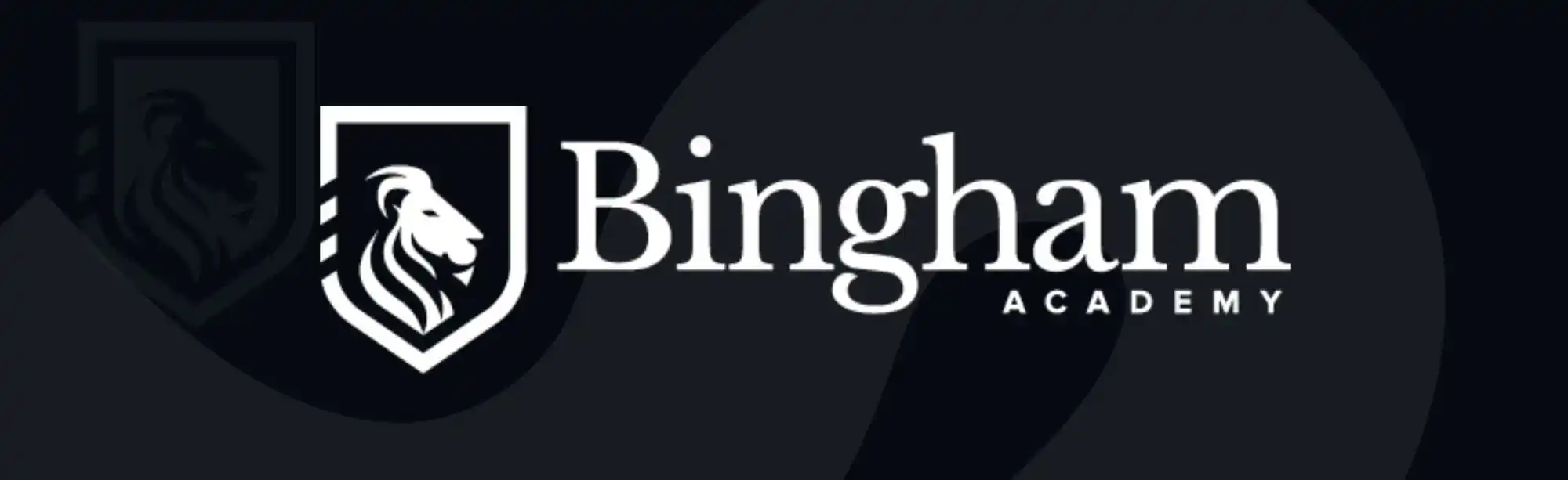 Bingham Academy image