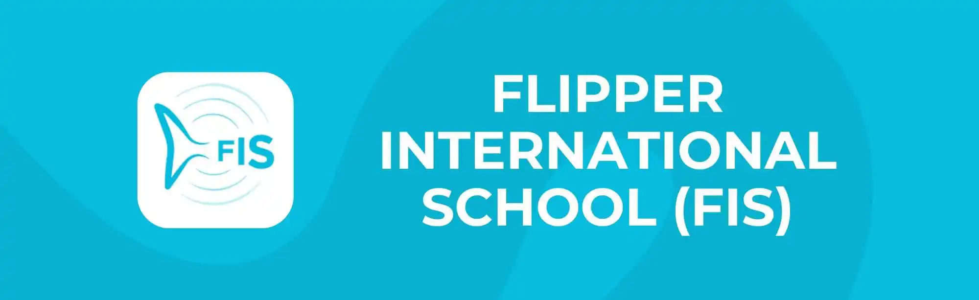 Flipper International School image