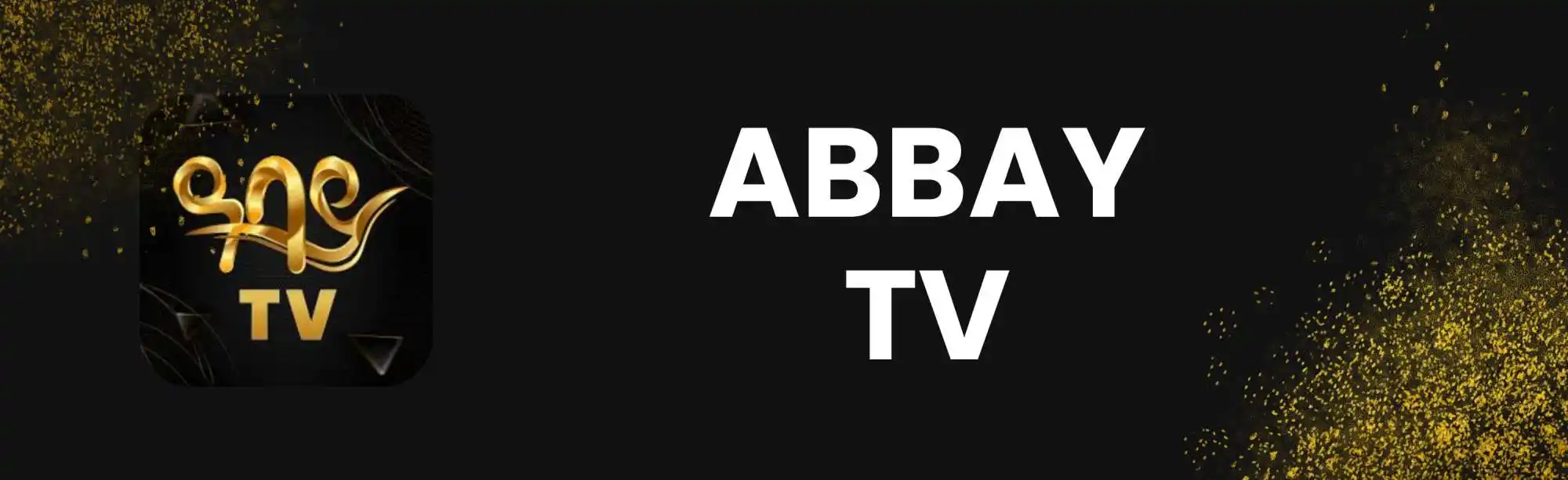 Abbay TV image