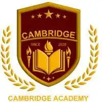 Cambridge Academy Ethiopia logo