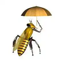 Nib Insurance Company S.C. logo