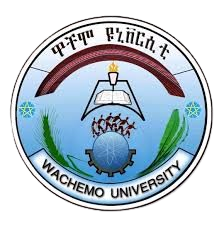 Wachemo University logo