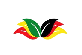 German Embassy School Addis Ababa logo