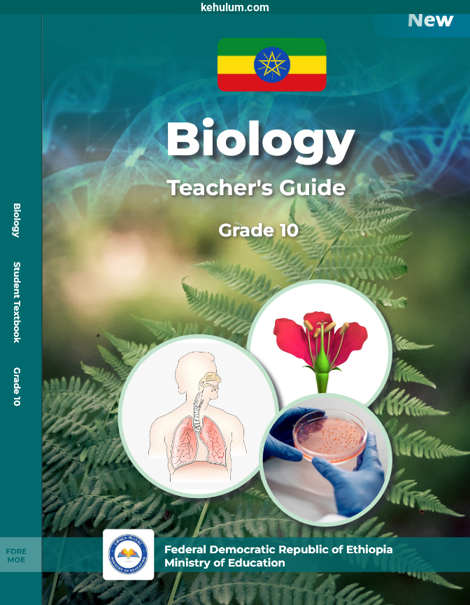 grade 10 new curriculum Teacher's Guide