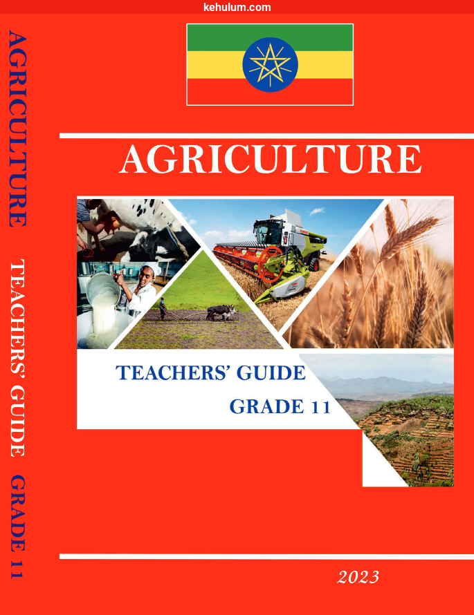 grade 11 new curriculum Teacher's Guide