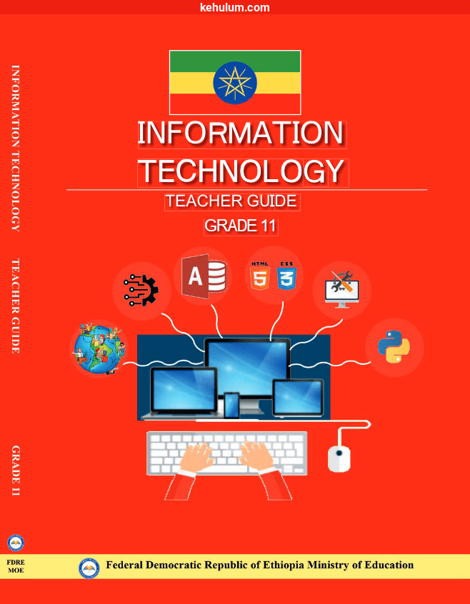 new curriculum grade 11 Information Technology IT Teacher's Guide