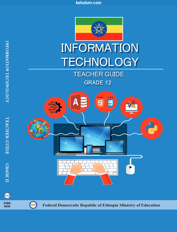 new curriculum grade 12 Information Technology IT Teacher's Guide